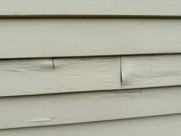 Best Siding Removal and Disposal  in USA